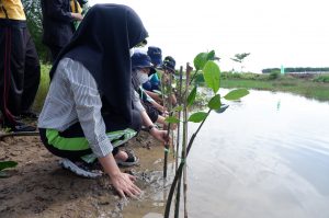Kegiatan Mangrove Cultivation 2022